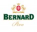 _logo Bernard